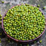 Mung Bean Protein