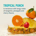 Liquid I.V.® Hydration Multiplier® - Tropical Punch - Hydration Powder Packets | Electrolyte Powder Drink Mix | Convenient Single-Serving Sticks | Non-GMO | 16 Servings (Pack of 12)