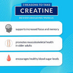 BODYTECH 100% Pure Creatine Monohydrate Powder - Micronized for Maximum Absorption - Supports Muscle Strength & Power Output - Unflavored (18 oz, 102 Servings)