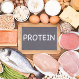 Protein
