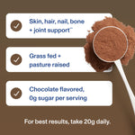 Vital Proteins Grass Fed Collagen Powder, Chocolate, 17.1 oz
