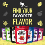 Wiley Wallaby Licorice 24 Ounce Classic Gourmet Soft & Chewy Australian Black Licorice Candy Twists, 1 Pack