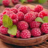 Raspberry