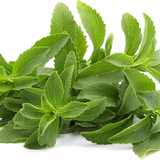 Stevia leaf