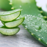 Aloe