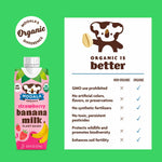Mooala - Organic Strawberry Bananamilk, Lunchbox Friendly, Shelf-Stable, Non-Dairy, Nut-Free, Plant-Based Beverage, On the Go 12 Pack