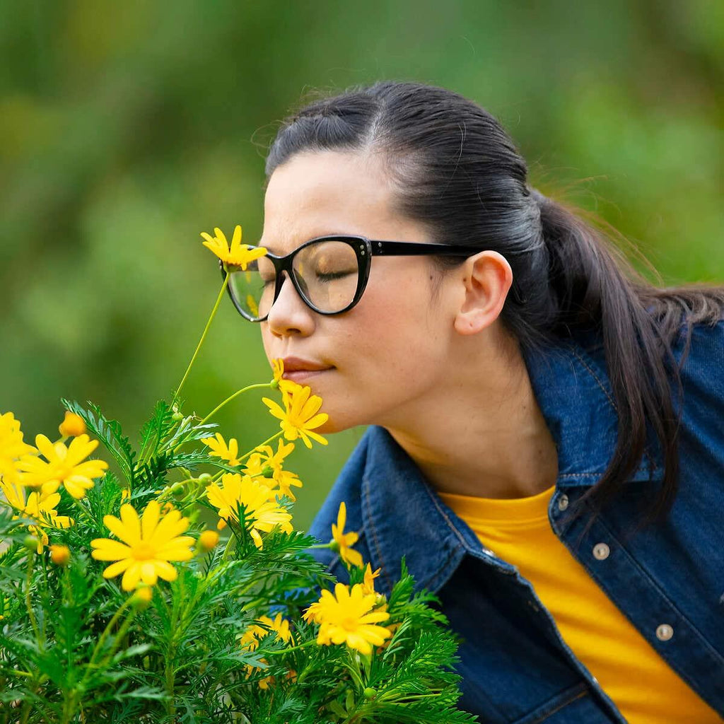 Astepro Adult Nasal Spray, 120 ml (Pack of 3)