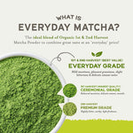 Sencha Everyday Natural USDA Organic Matcha Green Tea Powder Rich Antioxidant Revitalizing Body Healthy Gluten Free Product 100% Vegan Diet - 12oz (Pack of 1)